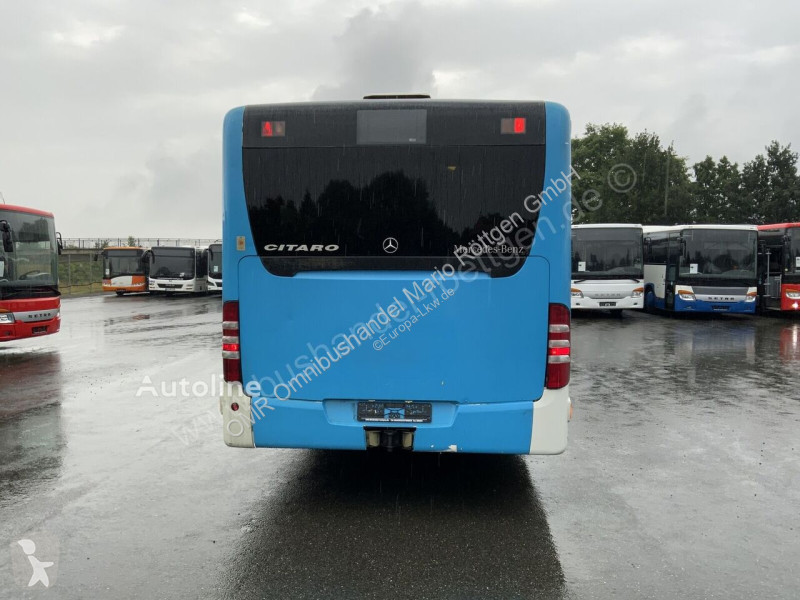 Buss Mercedes K