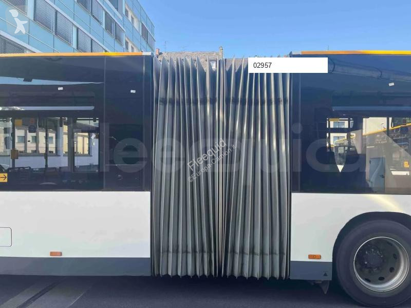 MAN  bus