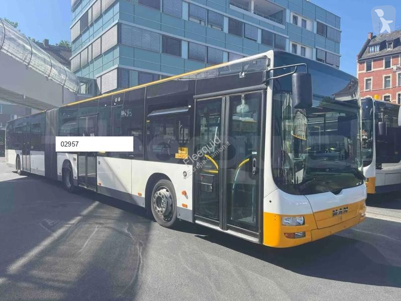 MAN  bus
