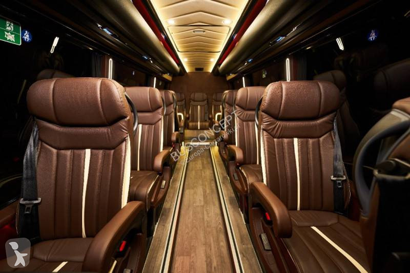 Autobuz Mercedes 519 cdi VIP 15