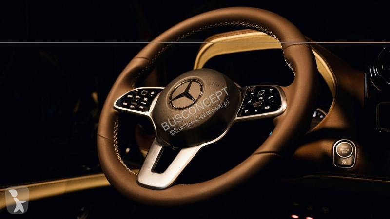 Autobuz Mercedes 319 7 VIP +2