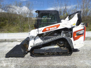 Bobcat