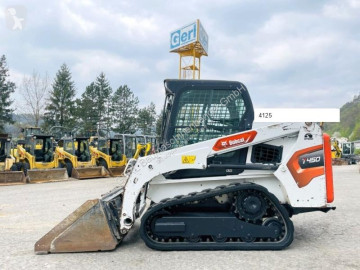 Bobcat
