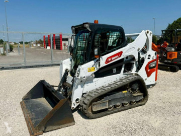 Bobcat