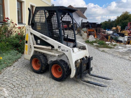 Bobcat