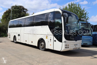 MANLion's Coach