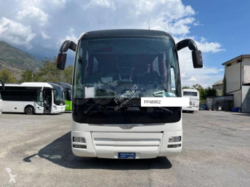 MANLion's Coach