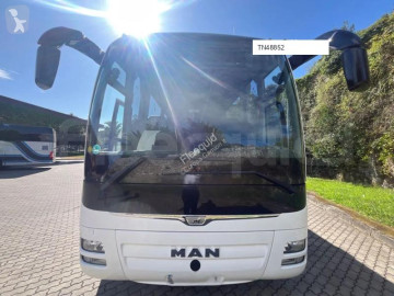 MANLion's Coach