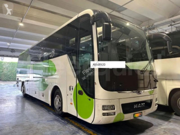 MANLion's Coach