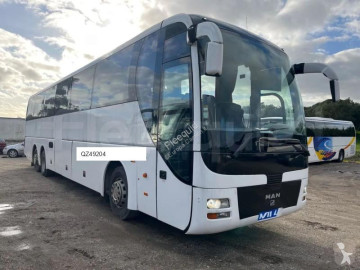 MANLion's Coach