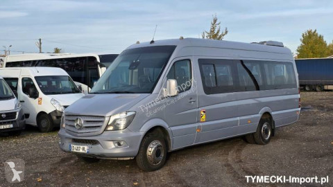 Междуградски автобус Mercedes Sprinter 516 Sprinter Erener