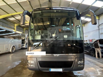 MANLion's Coach