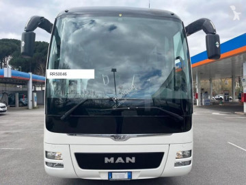 MANLion's Coach