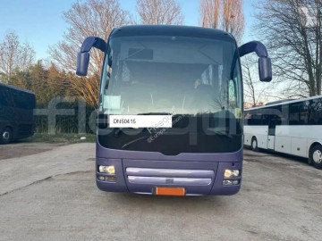 MANLion's Coach
