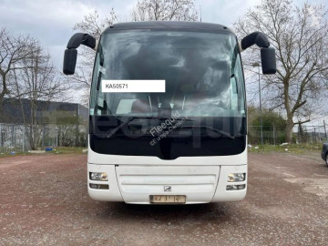 MANLion's Coach