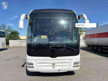 MANLion's Coach