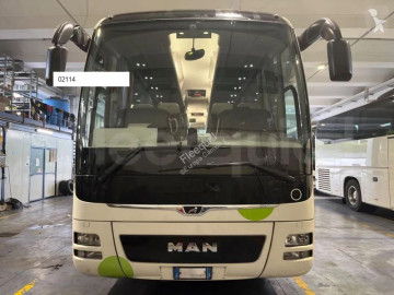 MANLion's Coach