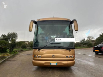 IrisbusDomino