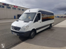 Mercedes Sprinter coach used tourism