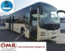 Междугородний автобус MAN R 12 Lion`s Regio / O 550 / Rollstuhllift туристический автобус б/у