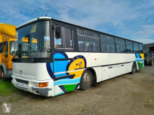 IrisbusRecreo
