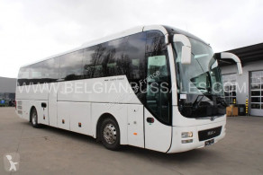MANLion's Coach