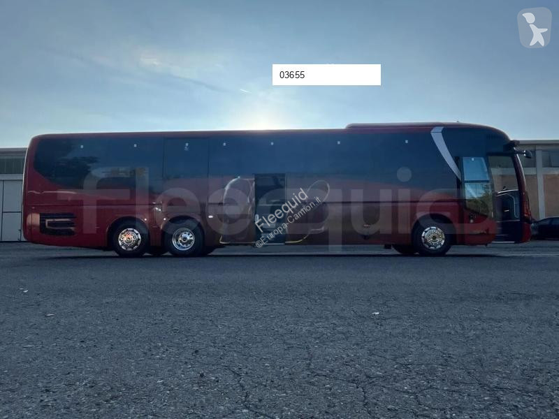 MAN  coach