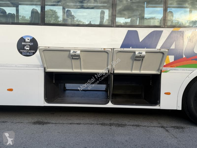 MAN  SCOLER 3 coach
