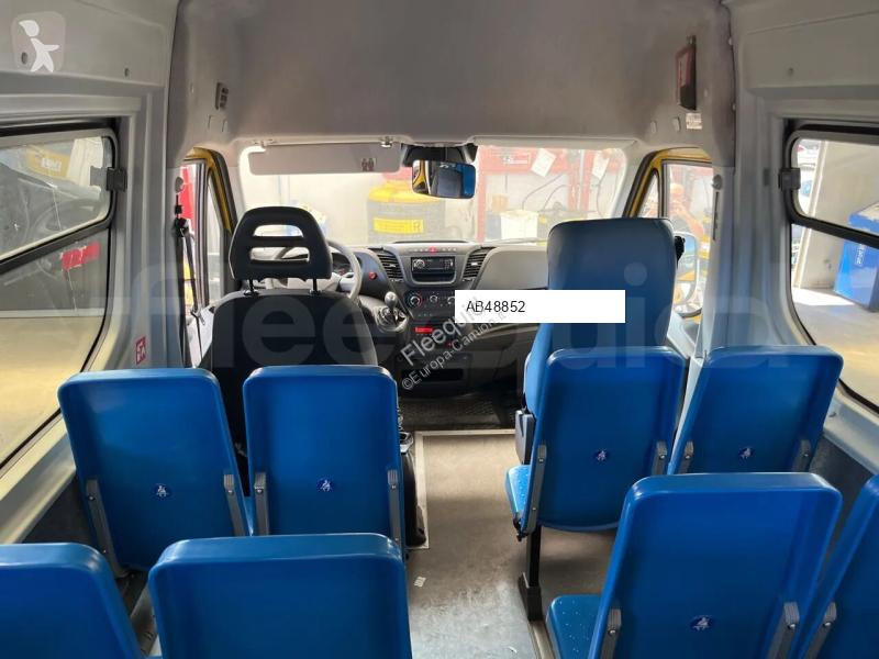 حافلة Iveco Daily