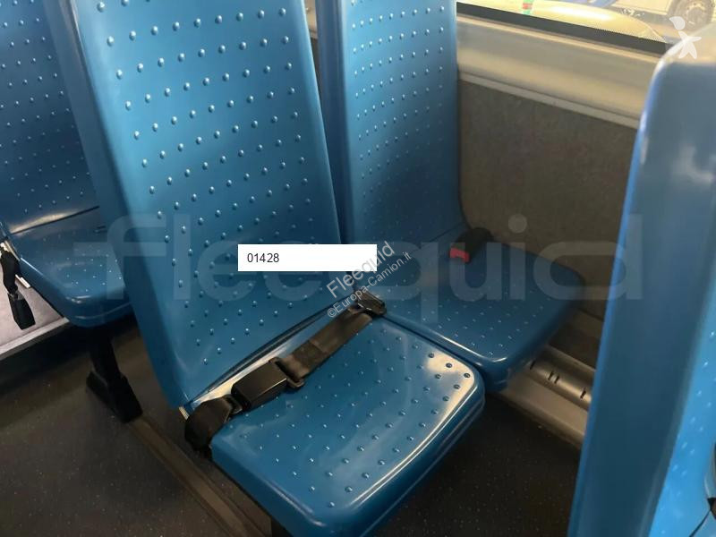 Iveco Daily coach