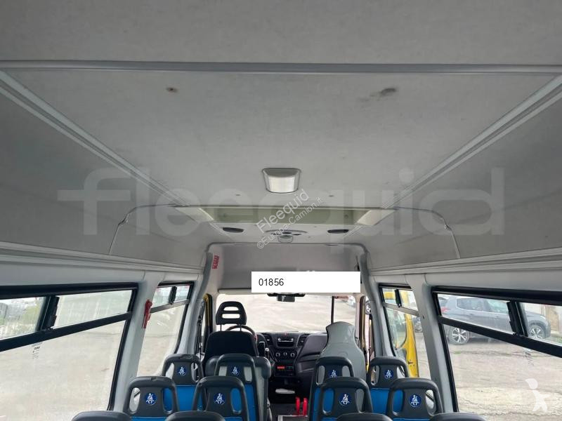 Iveco Daily coach