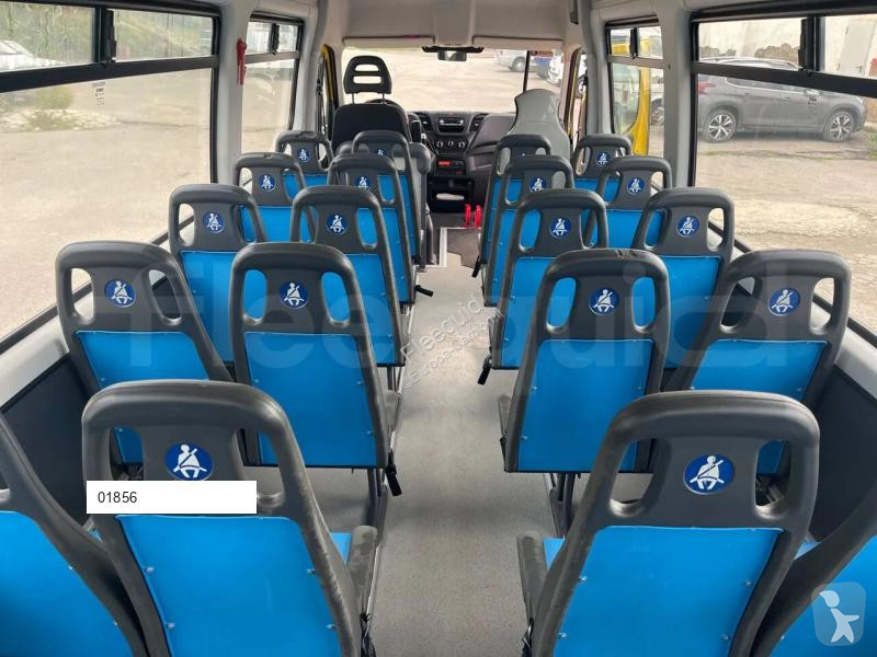 Iveco Daily coach