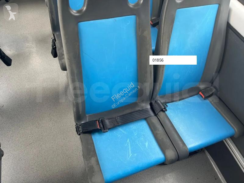 Iveco Daily coach