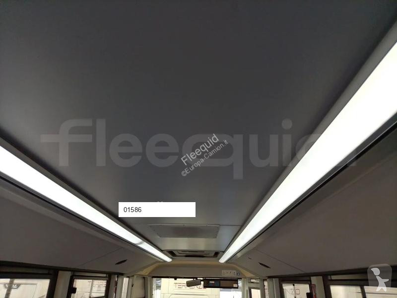 Iveco  coach