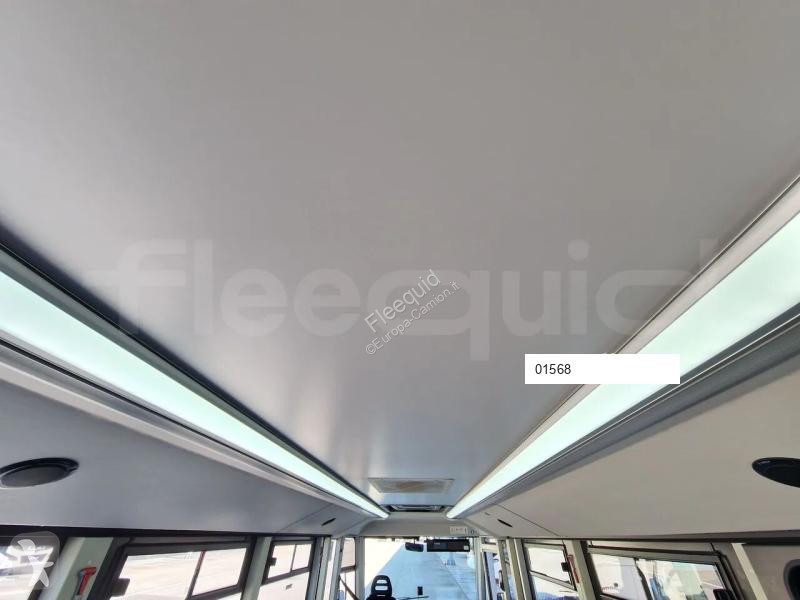 Iveco  coach
