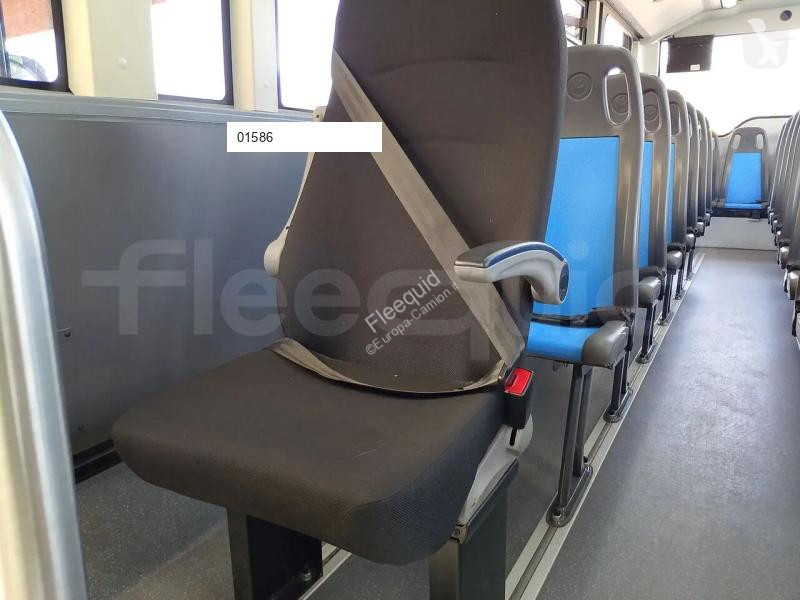 Iveco  coach