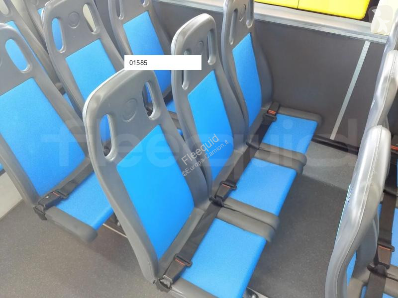 Iveco  coach
