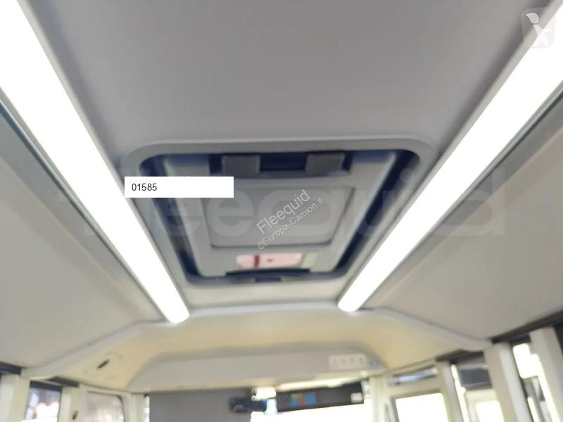 Iveco  coach