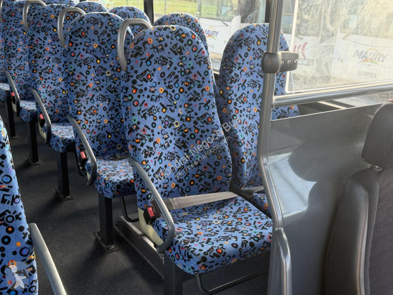 MAN  SCOLER 3 coach