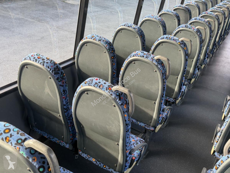 MAN  SCOLER 3 coach