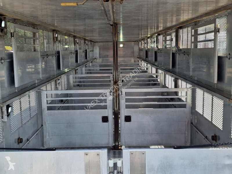 Vrachtwagencombinatie Scania + 3 deck livestock...