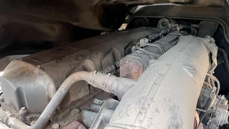 Cabeza tractora DAF (PARFAIT ETAT / TRES PROPRE...
