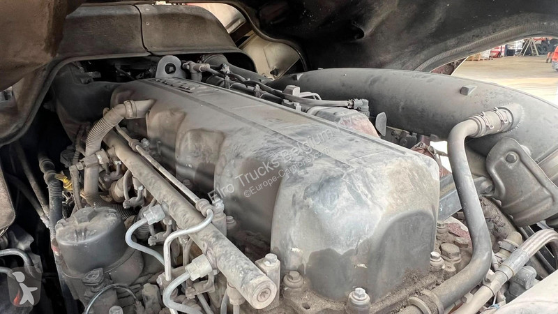Cabeza tractora DAF (PARFAIT ETAT / TRES PROPRE...