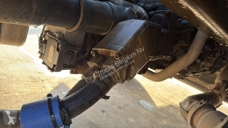Cap tractor DAF (CAMION BELGE / BELGIAN TRUCK /...