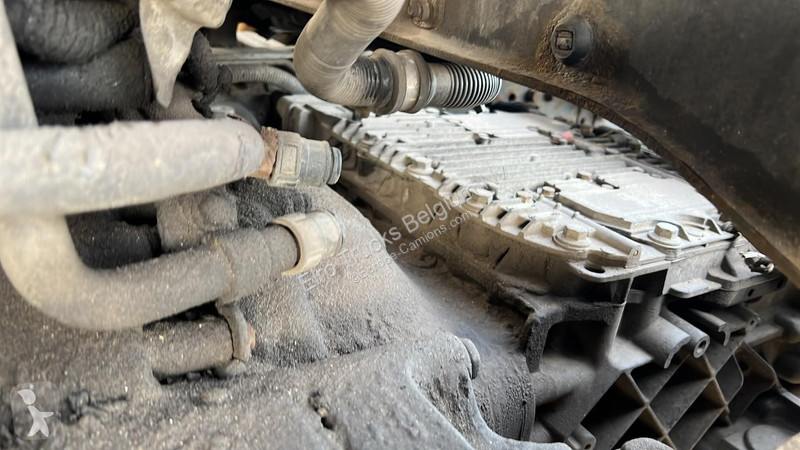 Cabeza tractora Renault 450 DXI (BOITE MANUELLE...