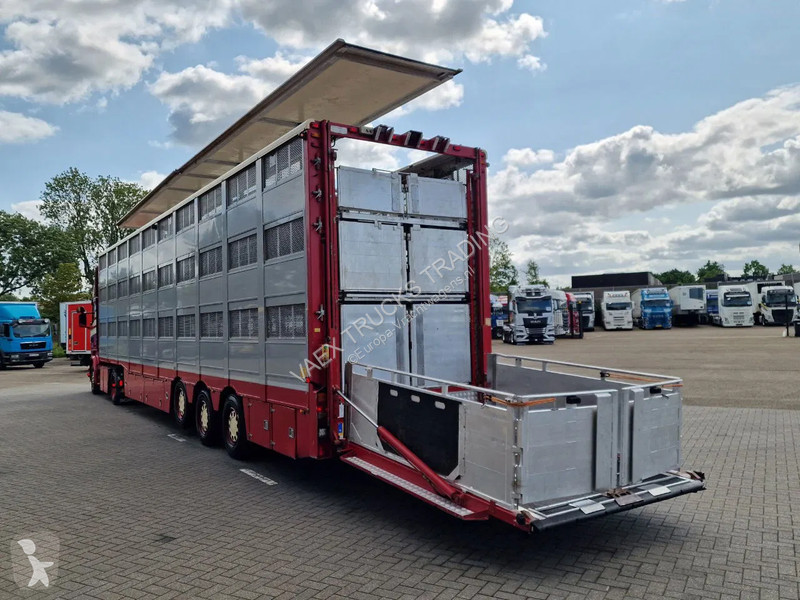 Vrachtwagencombinatie Scania + 3 deck livestock...