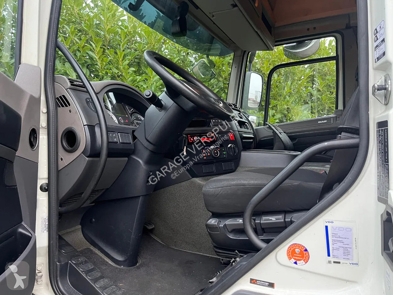 Tractor DAF 410 FT Euro6