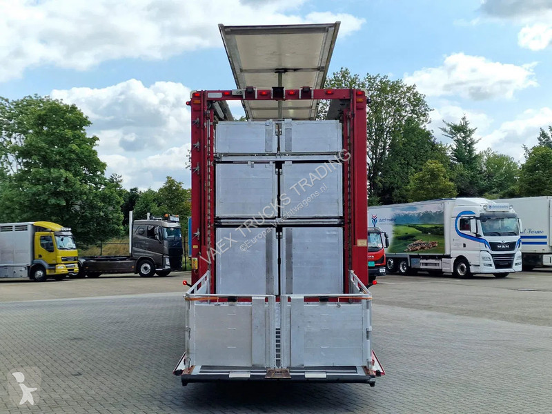 Vrachtwagencombinatie Scania + 3 deck livestock...