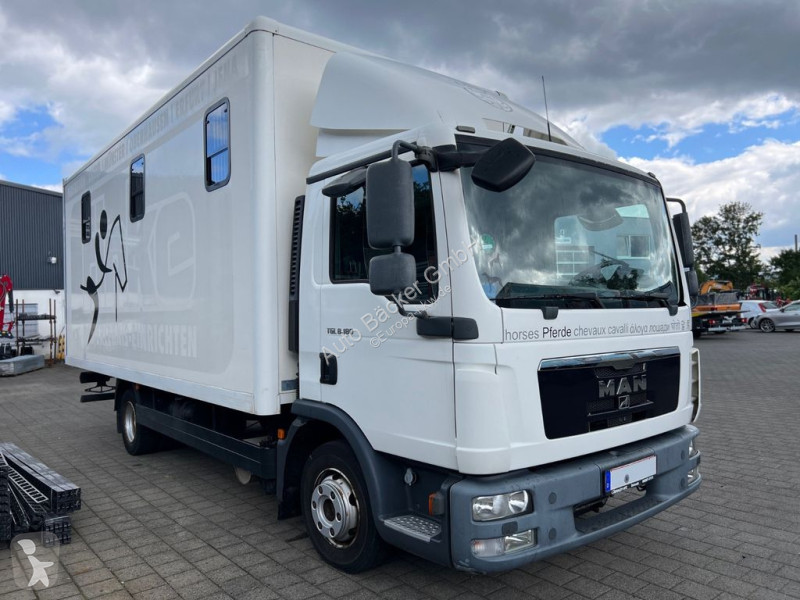 Camión MAN 8.180 4x2 FG Pferdetransporter (3er)