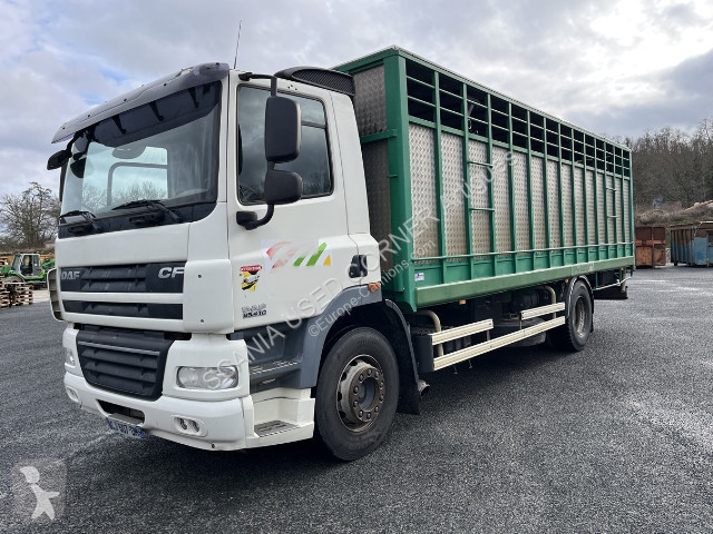 Camion DAF CF410